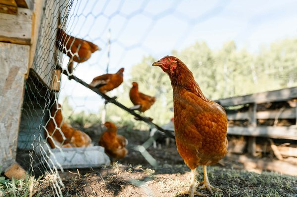 What Are the Most Stylish and Functional Bike Storage Solutions for Small Apartments?